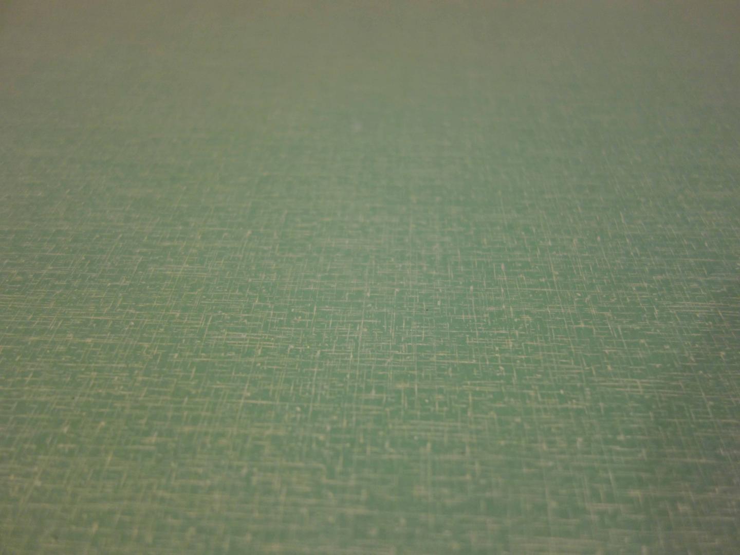 Albert - Image 4