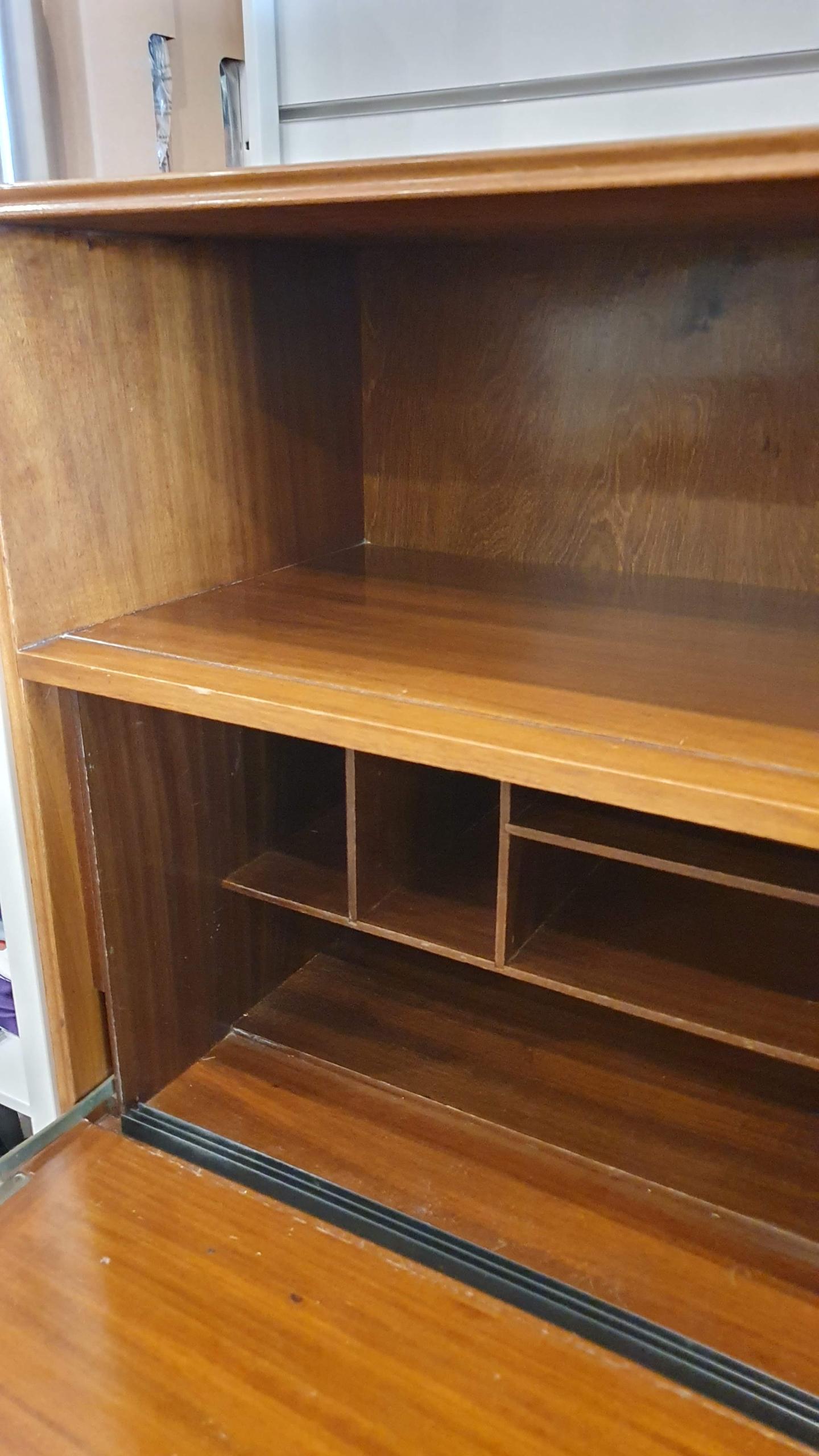 Aster - Image 7